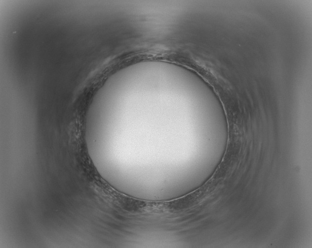 X0000072931447200608041203