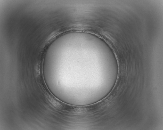 X0000072931451200608041203