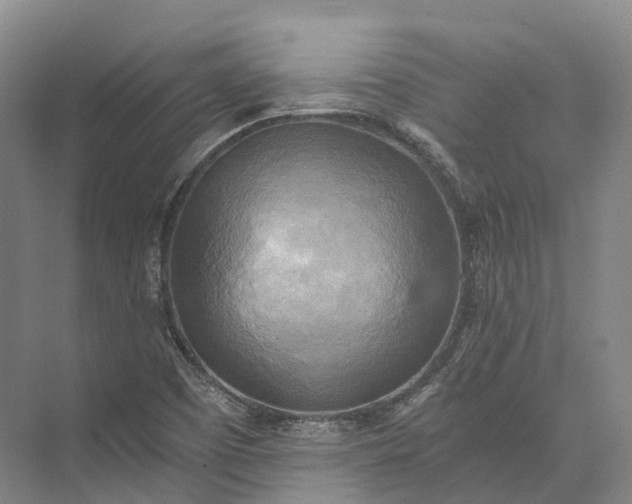 X0000072931457200608041203