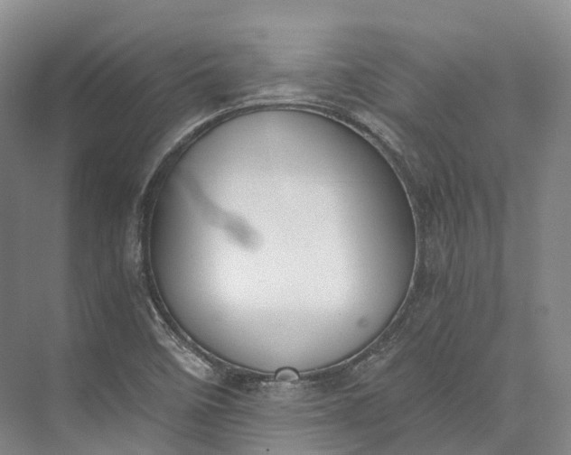 X0000072931458200608041203