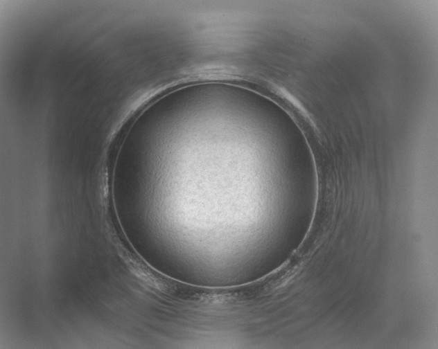 X0000072931461200608041203