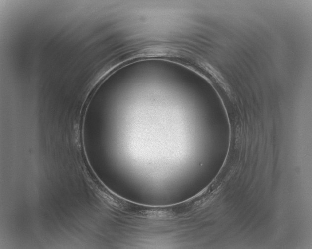X0000072931465200608041203