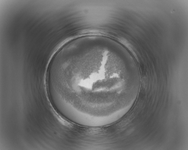 X0000072931482200608041203