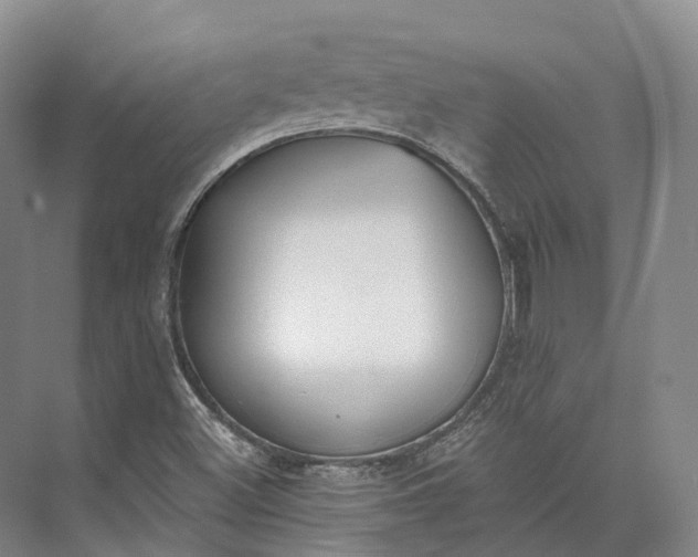 X0000072931500200608041202