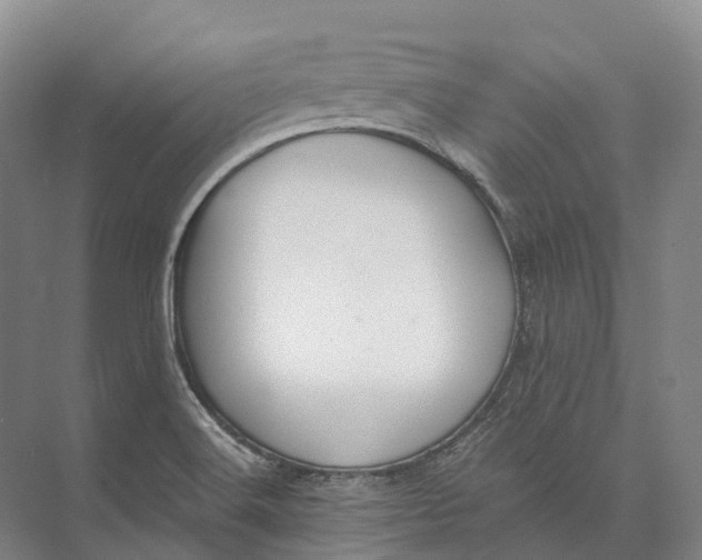 X0000072931516200608041202