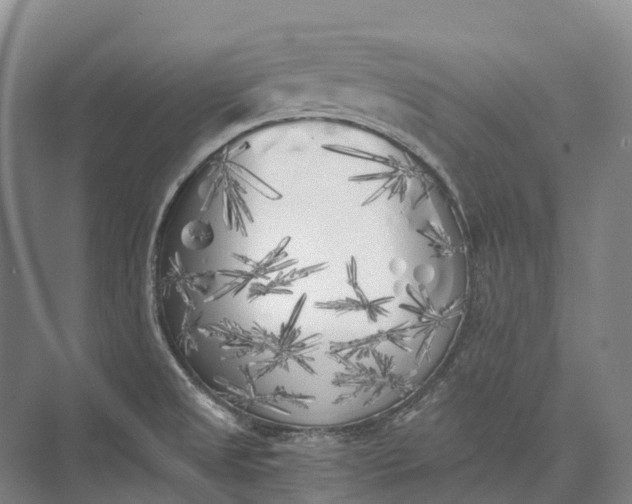 X0000072931525200608041203