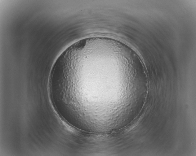 X0000072931533200608041203