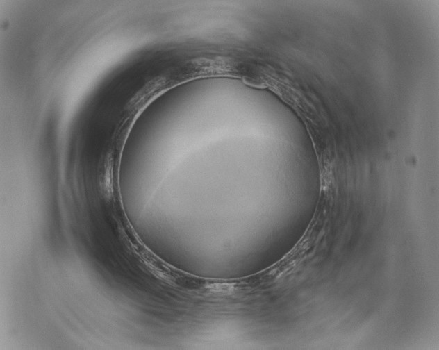 X0000072930052200608111545