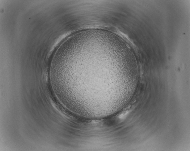 X0000072930060200608111546