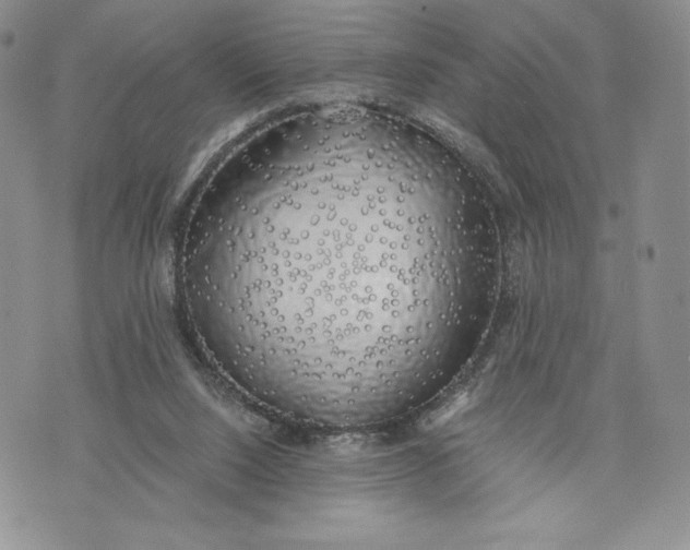 X0000072930064200608111546