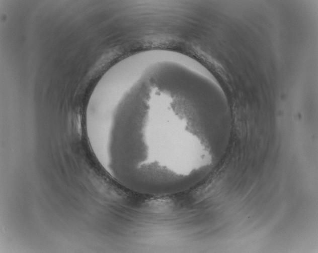 X0000072930067200608111546