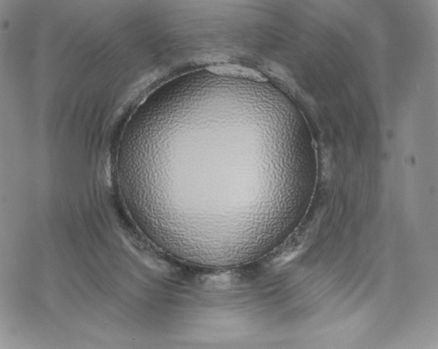 X0000072930068200608111546
