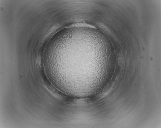 X0000072930072200608111546