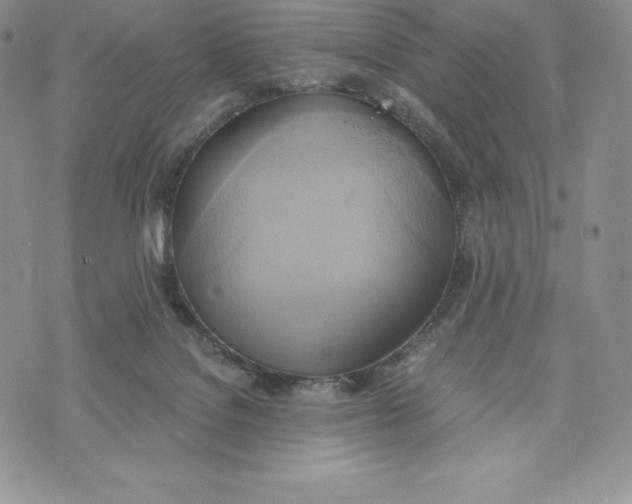 X0000072930076200608111546
