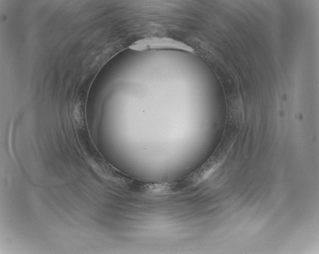 X0000072930088200608111546