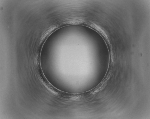 X0000072930105200608111545