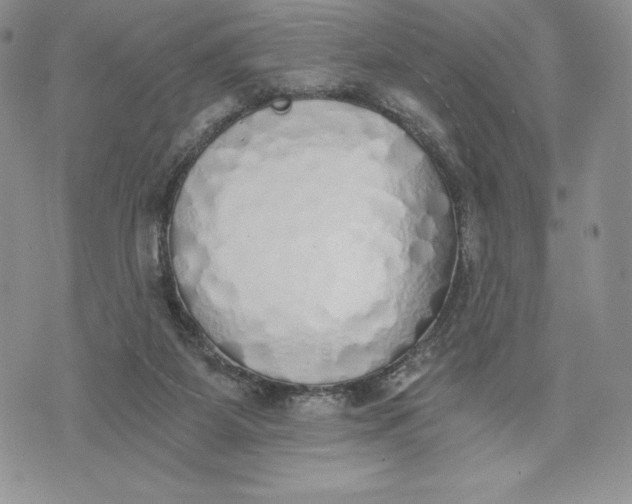 X0000072930115200608111545