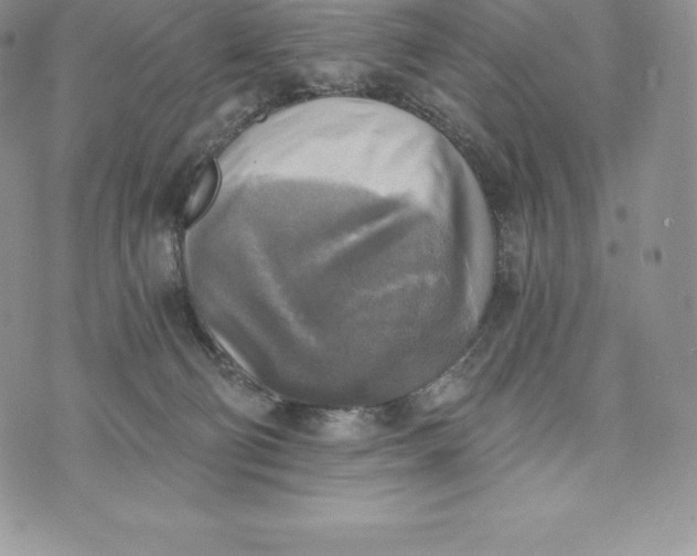 X0000072930130200608111545