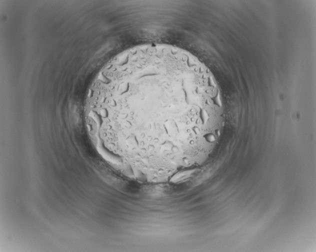 X0000072930131200608111545