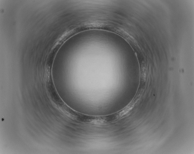 X0000072930168200608111544