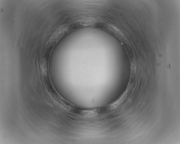 X0000072930170200608111544