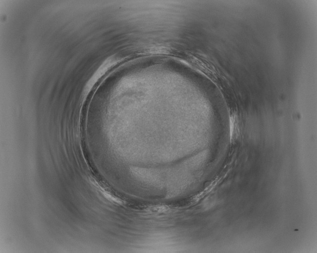 X0000072930195200608111544
