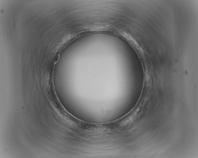 X0000072930201200608111544