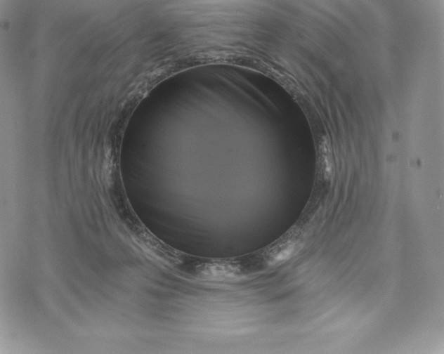 X0000072930223200608111543