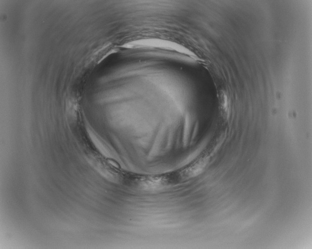 X0000072930235200608111543