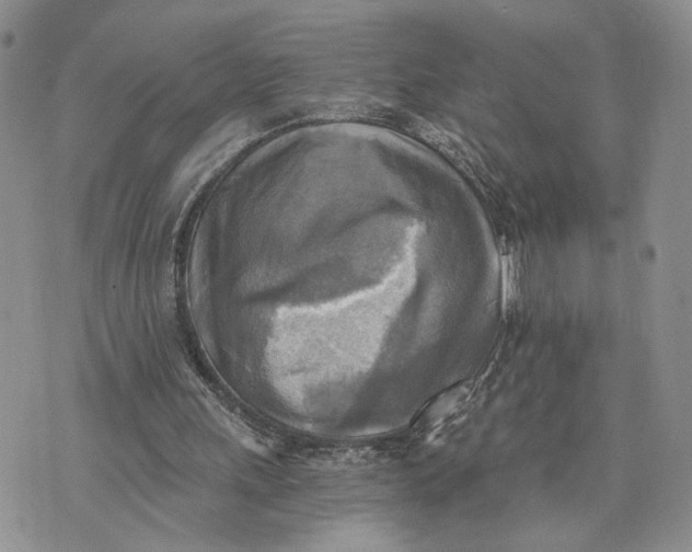 X0000072930243200608111542