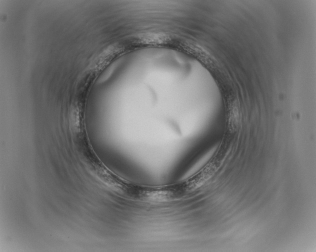 X0000072930268200608111543
