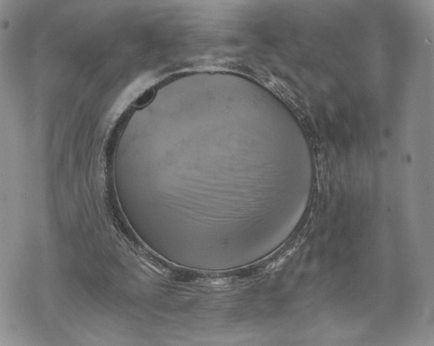 X0000072930295200608111542
