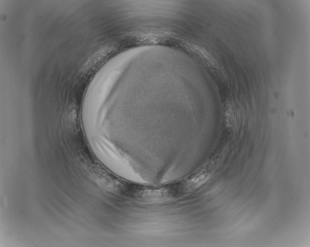 X0000072930314200608111542