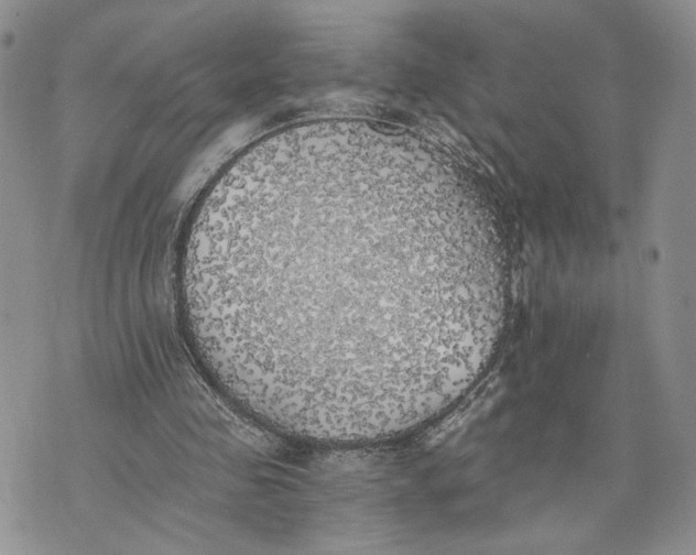 X0000072930341200608111541
