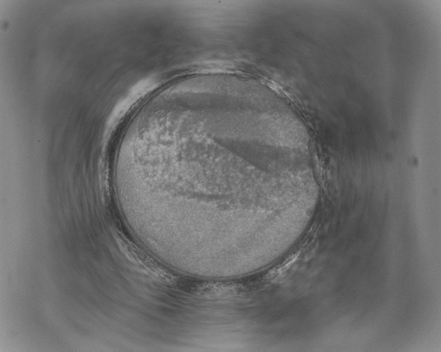 X0000072930343200608111541