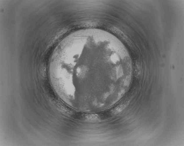 X0000072930355200608111541