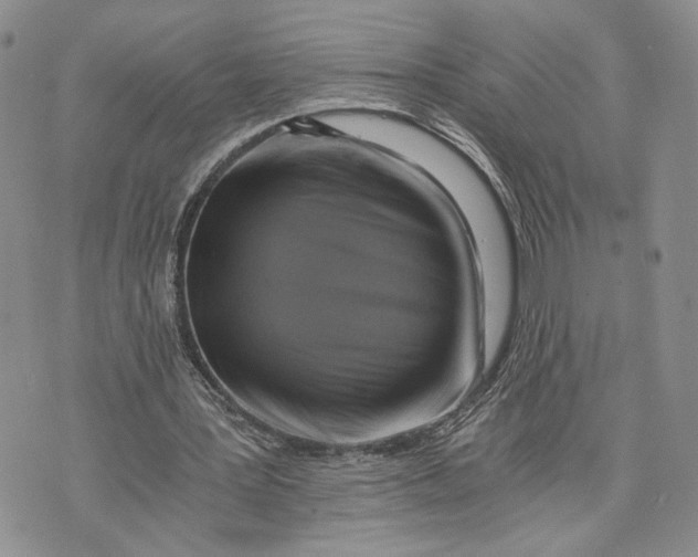 X0000072930387200608111541