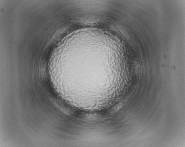 X0000072930408200608111540