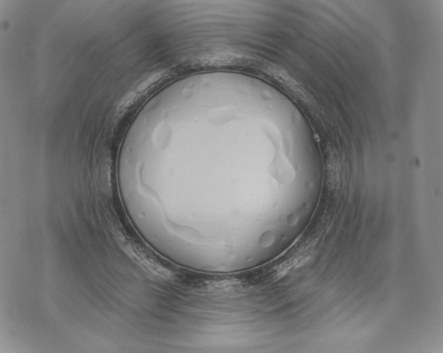 X0000072930446200608111539
