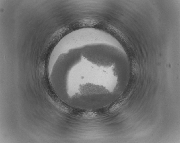 X0000072930451200608111539
