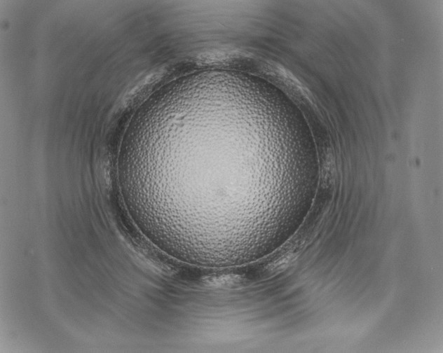 X0000072930452200608111539