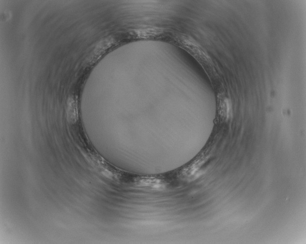 X0000072930471200608111540