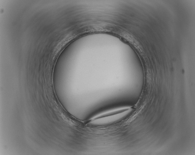 X0000072930481200608111539