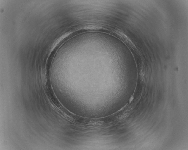 X0000072930484200608111539