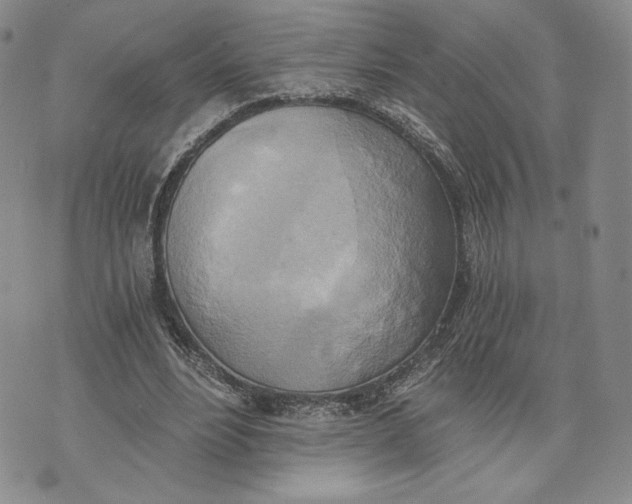 X0000072930488200608111539