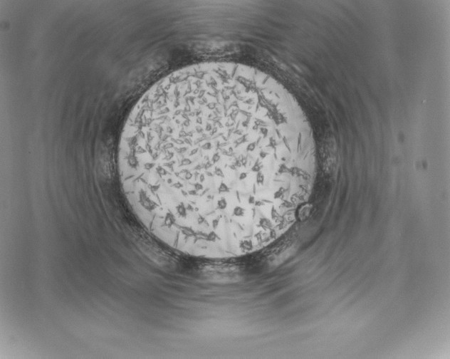 X0000072930515200608111538