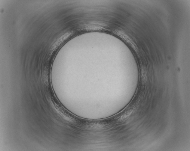 X0000072930533200608111538