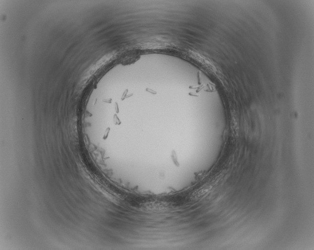 X0000072930535200608111538