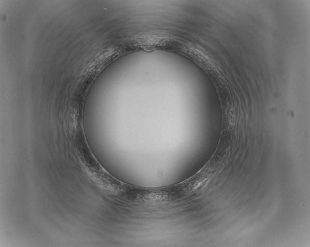 X0000072930546200608111538