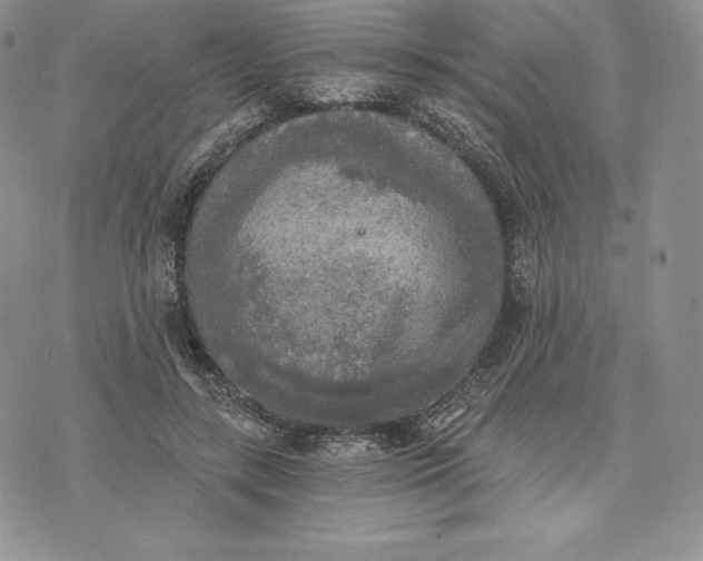 X0000072930547200608111538